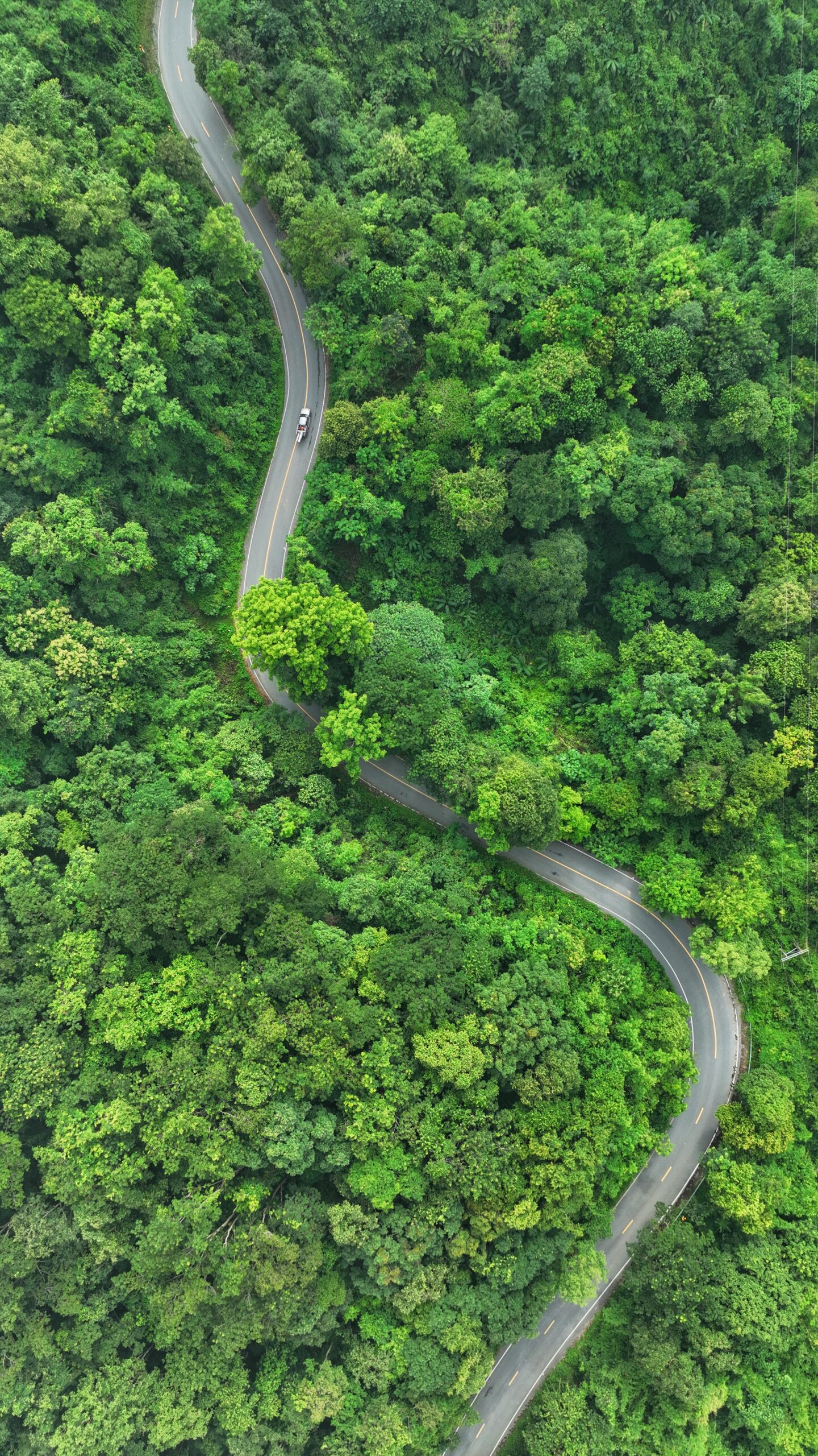 Aerial,View,Of,Road,In,The,Middle,Of,The,Forest